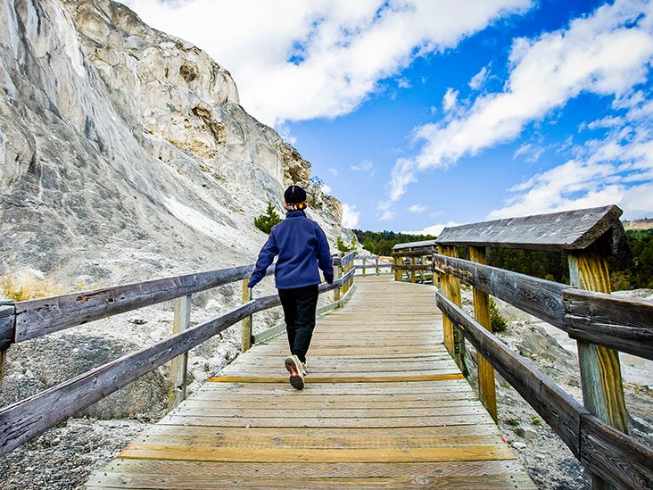 Wyoming Medicare: Your Guide to Smart Plan Choices