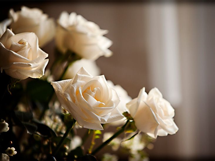 Does Medicare Cover Cremation? Let's Break It Down Simply